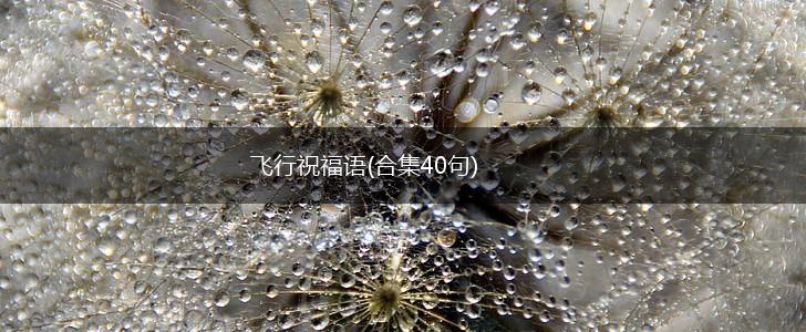 飞行祝福语(合集40句),第1张 飞行祝福语(合集40句),第1张