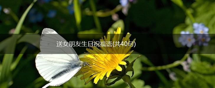 送女朋友生日祝福语(共40句),第1张 送女朋友生日祝福语(共40句),第1张