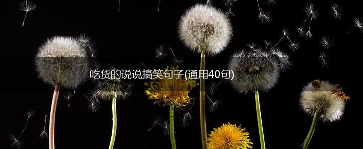 吃货的说说搞笑句子(通用40句),第1张 吃货的说说搞笑句子(通用40句),第1张