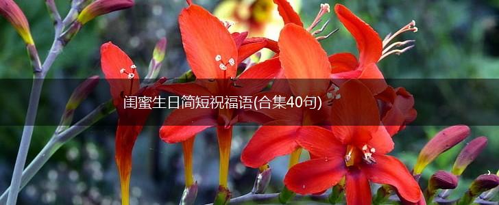 闺蜜生日简短祝福语(合集40句),第1张