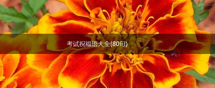 考试祝福语大全(80句),第1张