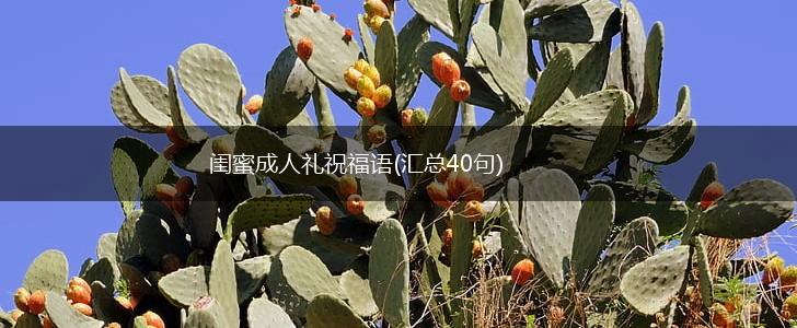闺蜜成人礼祝福语(汇总40句),第1张