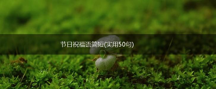 节日祝福语简短(实用50句),第1张