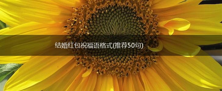 结婚红包祝福语格式(推荐50句),第1张