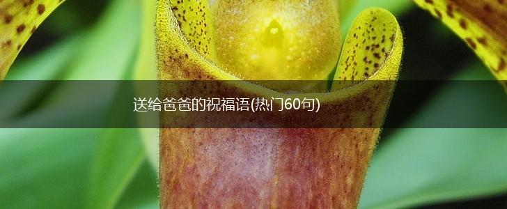 送给爸爸的祝福语(热门60句),第1张