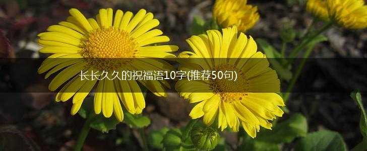 长长久久的祝福语10字(推荐50句),第1张
