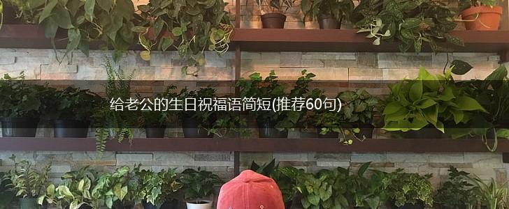 给老公的生日祝福语简短(推荐60句),第1张