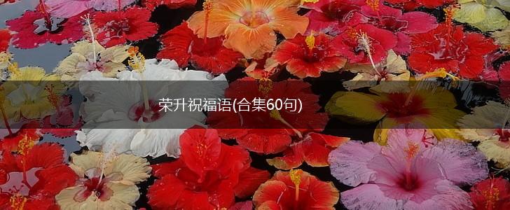 荣升祝福语(合集60句),第1张