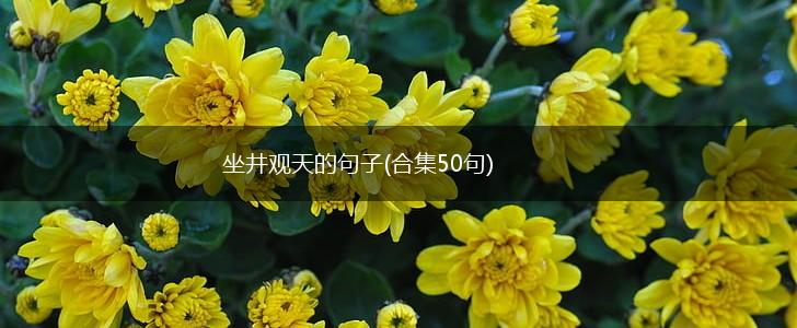 坐井观天的句子(合集50句),第1张 坐井观天的句子(合集50句),第1张