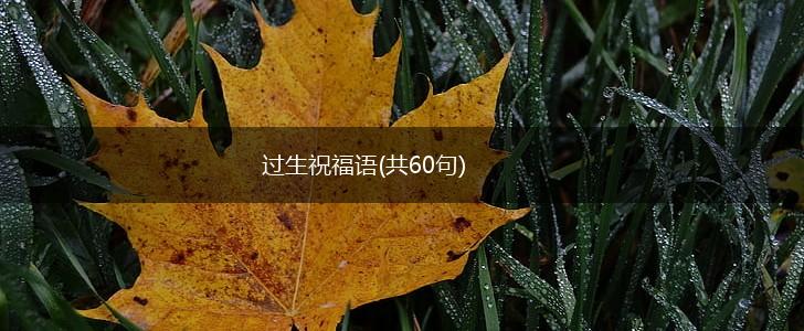 过生祝福语(共60句),第1张 过生祝福语(共60句),第1张