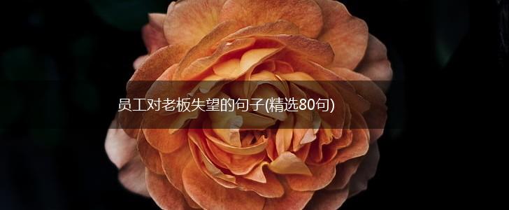员工对老板失望的句子(精选80句),第1张