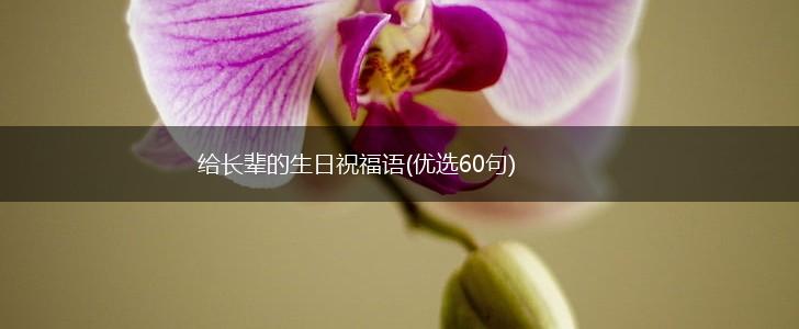 给长辈的生日祝福语(优选60句),第1张