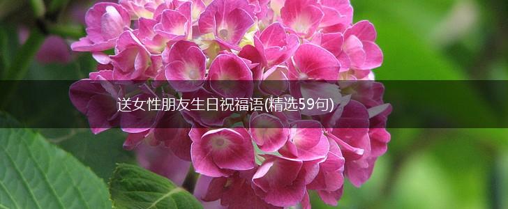 送女性朋友生日祝福语(精选59句),第1张 送女性朋友生日祝福语(精选59句),第1张