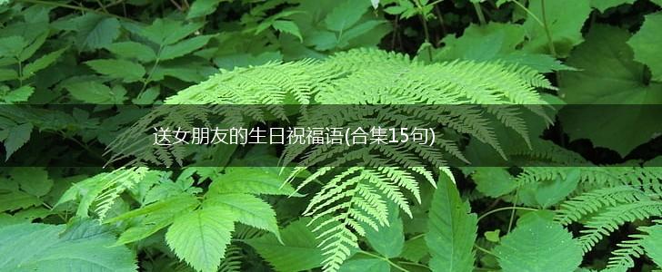 送女朋友的生日祝福语(合集15句),第1张