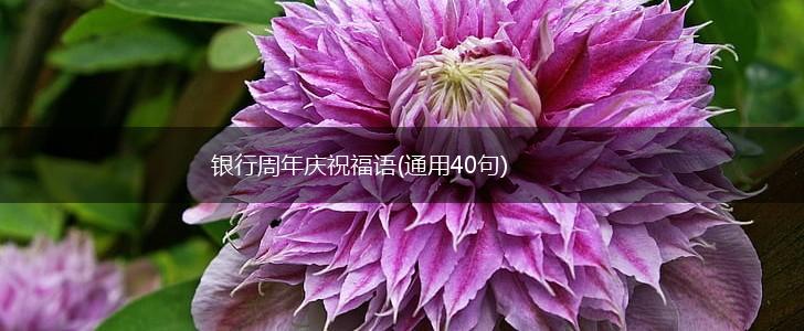 银行周年庆祝福语(通用40句),第1张