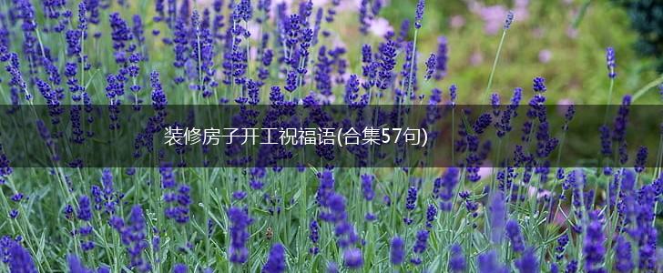 装修房子开工祝福语(合集57句),第1张