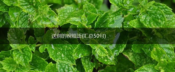 送别的祝福语(汇总50句),第1张 送别的祝福语(汇总50句),第1张