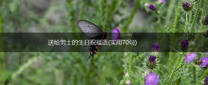 送给男士的生日祝福语(实用70句),第1张 送给男士的生日祝福语(实用70句),第1张