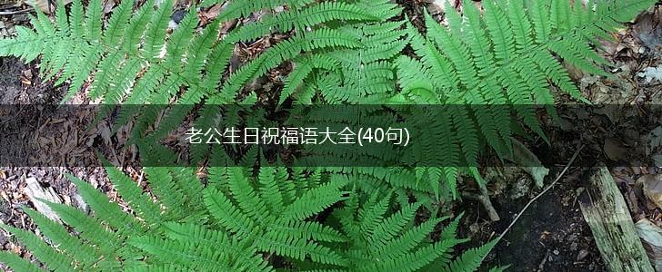 老公生日祝福语大全(40句),第1张 老公生日祝福语大全(40句),第1张