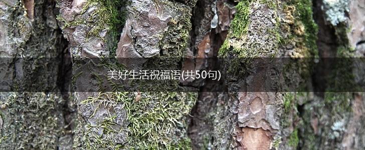 美好生活祝福语(共50句),第1张