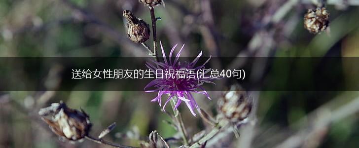 送给女性朋友的生日祝福语(汇总40句),第1张