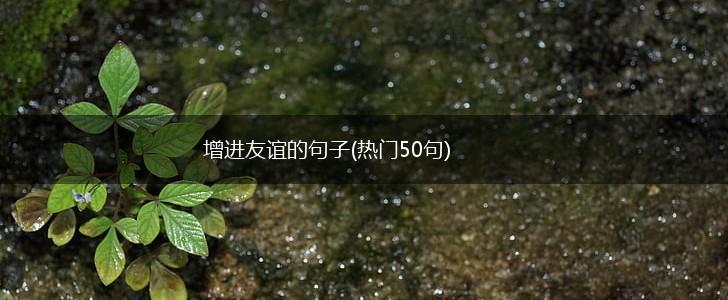 增进友谊的句子(热门50句),第1张