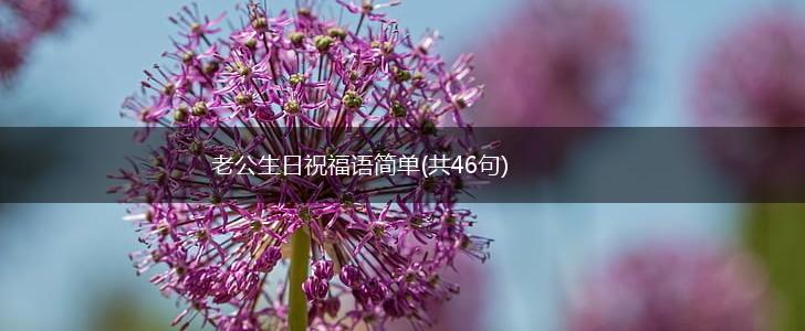 老公生日祝福语简单(共46句),第1张