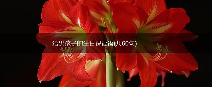 给男孩子的生日祝福语(共60句),第1张 给男孩子的生日祝福语(共60句),第1张