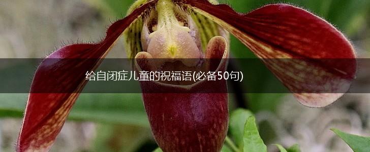 给自闭症儿童的祝福语(必备50句),第1张 给自闭症儿童的祝福语(必备50句),第1张