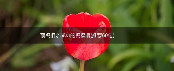 预祝相亲成功的祝福语(推荐60句),第1张 预祝相亲成功的祝福语(推荐60句),第1张