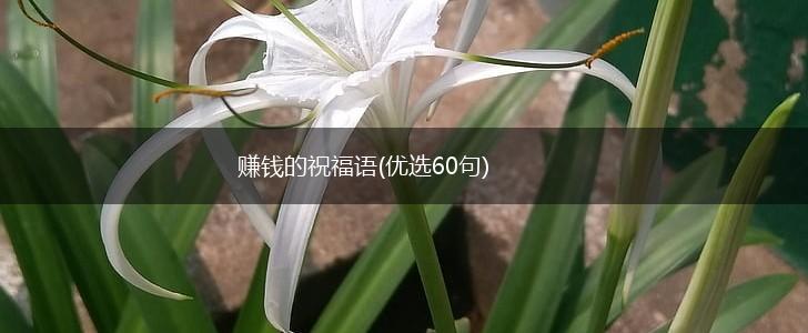 赚钱的祝福语(优选60句),第1张