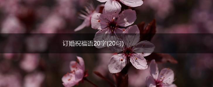 订婚祝福语20字(20句),第1张