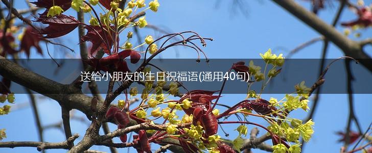 送给小朋友的生日祝福语(通用40句),第1张