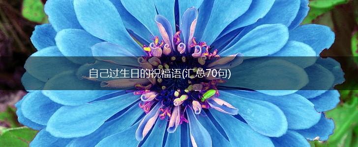 自己过生日的祝福语(汇总70句),第1张