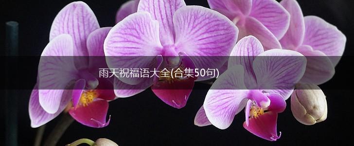 雨天祝福语大全(合集50句),第1张