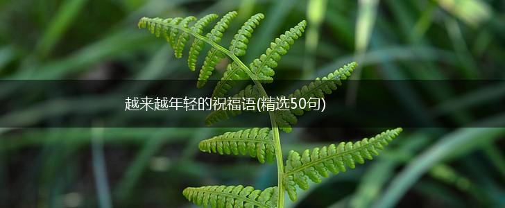 越来越年轻的祝福语(精选50句),第1张