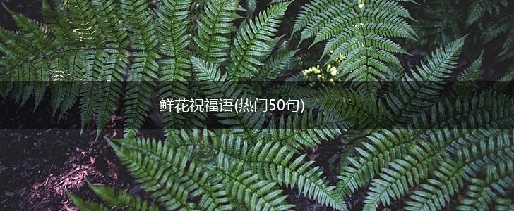鲜花祝福语(热门50句),第1张