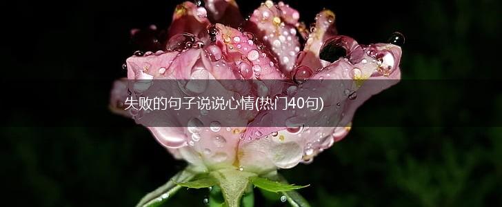 失败的句子说说心情(热门40句),第1张