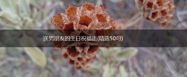 送男朋友的生日祝福语(精选50句),第1张 送男朋友的生日祝福语(精选50句),第1张