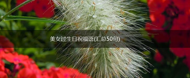 美女过生日祝福语(汇总50句),第1张