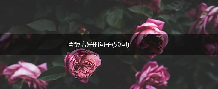 夸饭店好的句子(50句),第1张