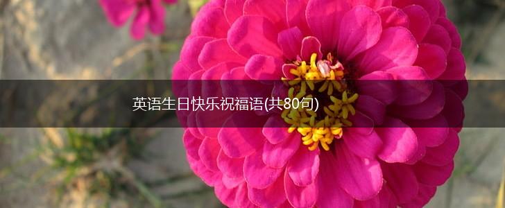 英语生日快乐祝福语(共80句),第1张