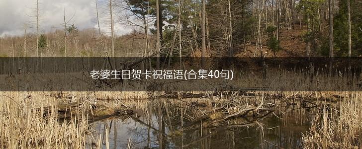 老婆生日贺卡祝福语(合集40句),第1张