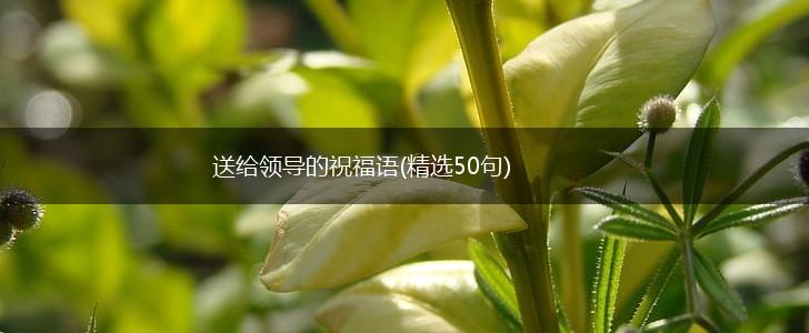 送给领导的祝福语(精选50句),第1张 送给领导的祝福语(精选50句),第1张