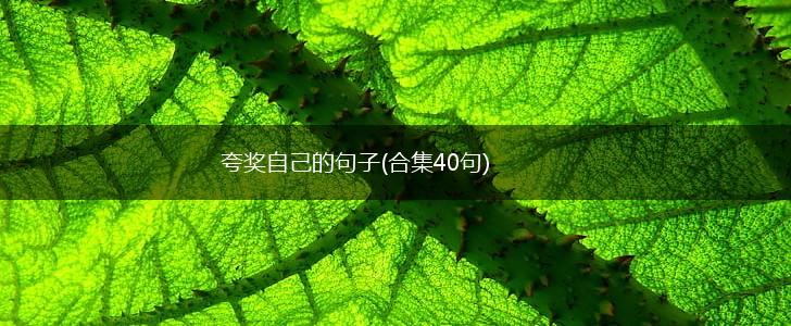 夸奖自己的句子(合集40句),第1张