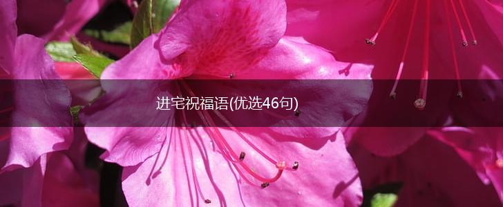 进宅祝福语(优选46句),第1张