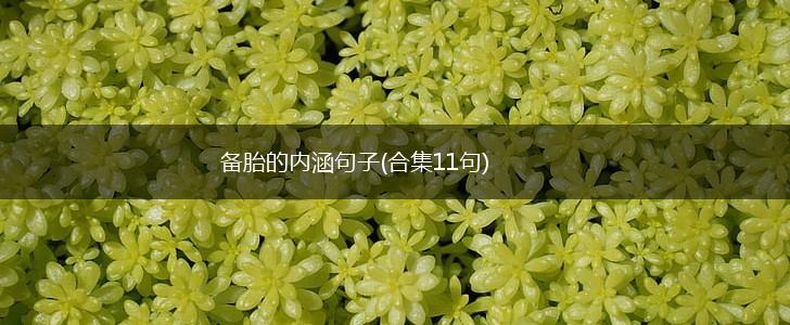 备胎的内涵句子(合集11句),第1张