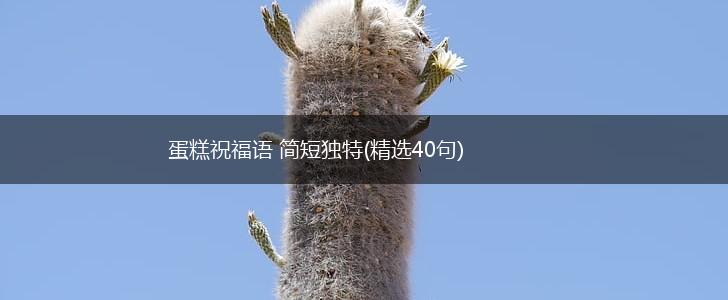 蛋糕祝福语 简短独特(精选40句),第1张 蛋糕祝福语 简短独特(精选40句),第1张