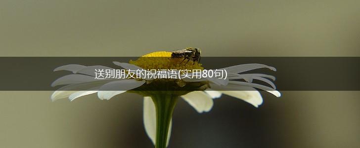 送别朋友的祝福语(实用80句),第1张