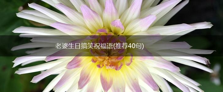 老婆生日搞笑祝福语(推荐40句),第1张 老婆生日搞笑祝福语(推荐40句),第1张